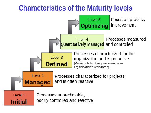 Characteristics of Maturity level