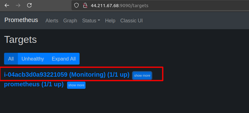 http://your-ec2-public-ip:9090/targets