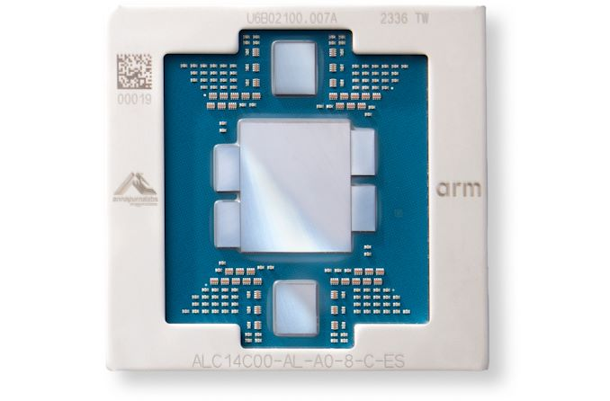 ARM Chip