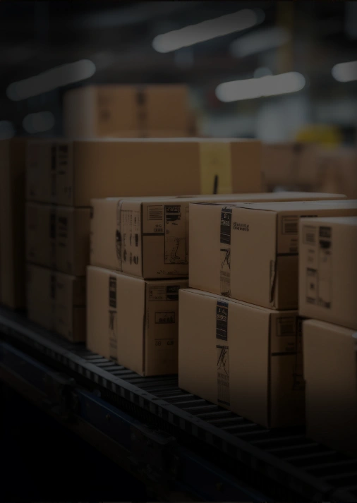 Enterprise & B2B Enterprise & B2B